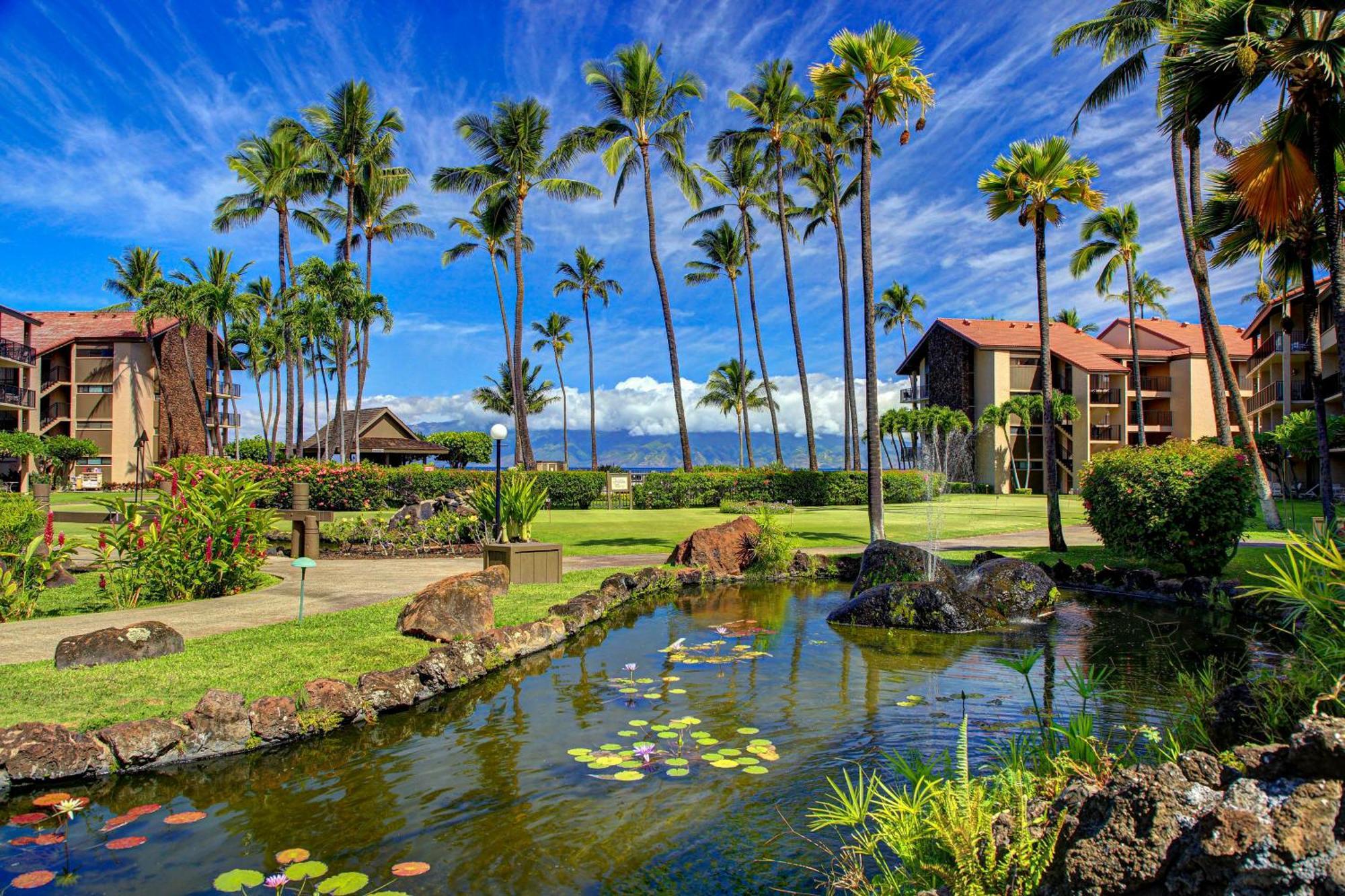 Papakea Resort Napili-Honokowai 객실 사진